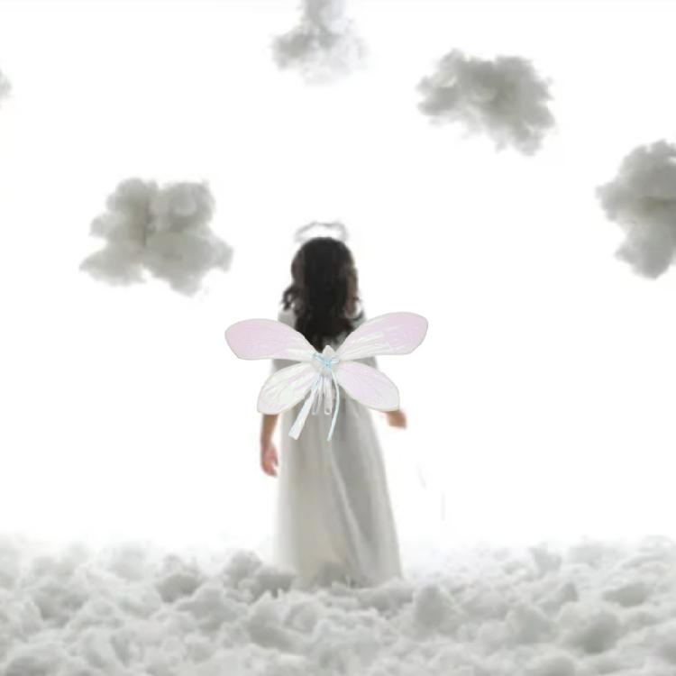 Fairy Costume Angel Wing Butterfly Fairy Wing Party Fancy Dress Dressing Up