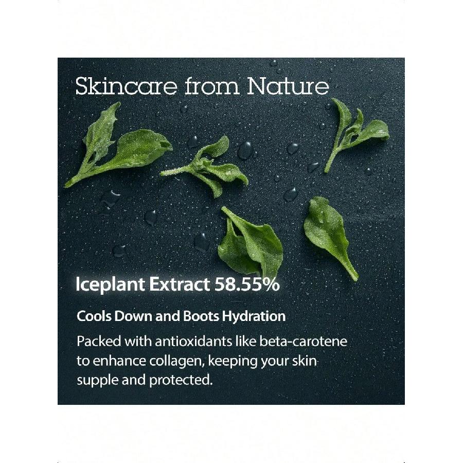 Blithe Pressed Serum Chaga Mushroom 27ml Advanced Skin Tightening Cream For Face Face Tightening And Lifting Formula For A Natural Face Lift