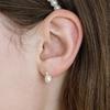 EN018 Freshwater Teardrop Pearl Earrings