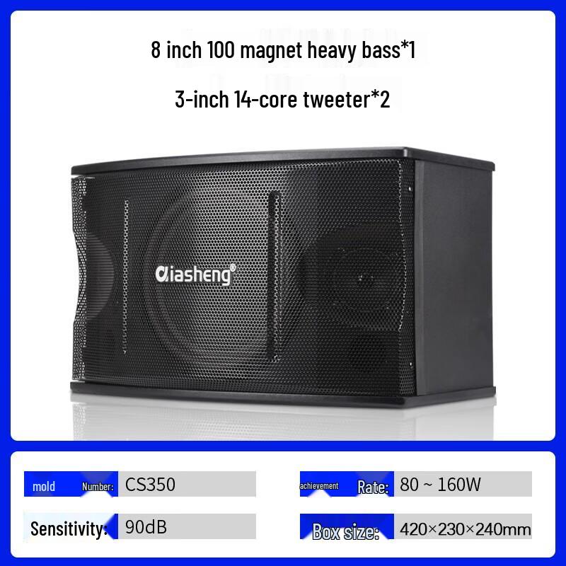 QIASHENG Professional Home KTV Speakers
