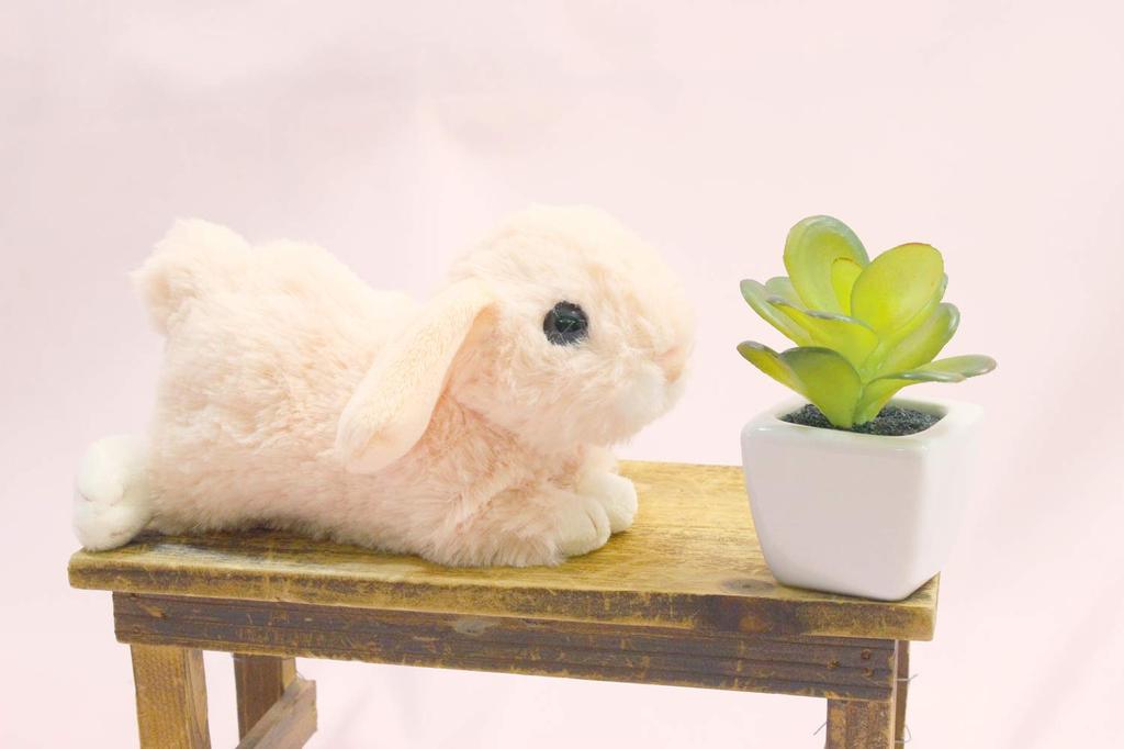 Takeoff Rabbit Marron Lop-eared Pink