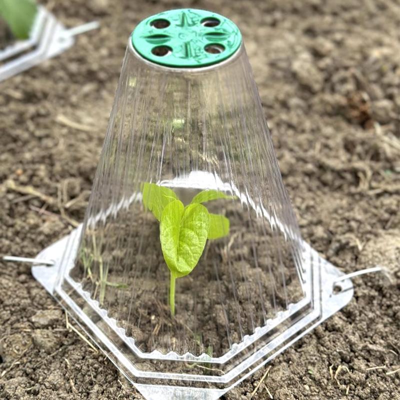 10/20 ks kuželový ochranný kryt na sazenice rostlin, školkařský stan na výsadbu sazenic, opakovaně použitelný proti ptákům, zabraňuje poškození zeleniny šneky