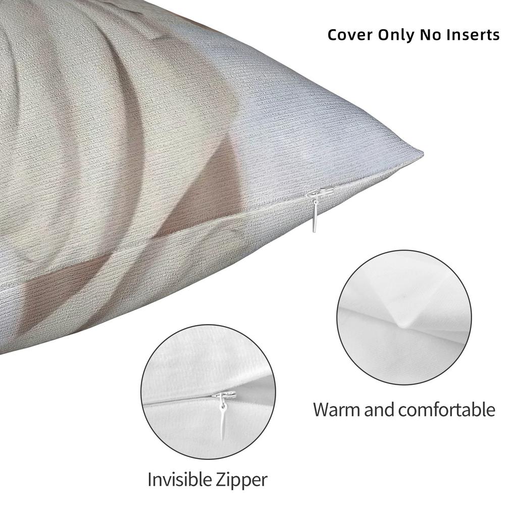 Fernandos Alonsos Pillow Case  Comfy Pillow Cover For Sofa Bedroom Home Decor Kawaii Pillowcases