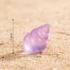1Pc Home Decoration Cute Micro Landscape Colorful Artificial Coral Resin Ornaments For Fish Tank Aquarium Accessories