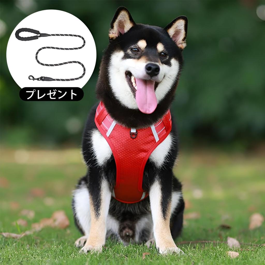 GIIPET Hund Skånsom om natten for og Stor Gåhjelp Krage Myk Lett å ta på og av Pustende Mesh for Gåing og Shiba Alle Størrelser