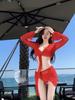 New Seaside Vacation Pure Desire Sexy Split Skirt Three-piece Swimsuit Small Chest Long Sleeve Internet Celebrity Bikini