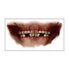 Long-lasting Zombie Cosplay Props Waterproof Bloody Makeup Tattoo Sticker  Party Supplies