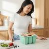 Non-Stick Ice Cream Trays 12 Grids Ice Lolly Mold Practical Ice Candy Mold  Homemade Ice Cream