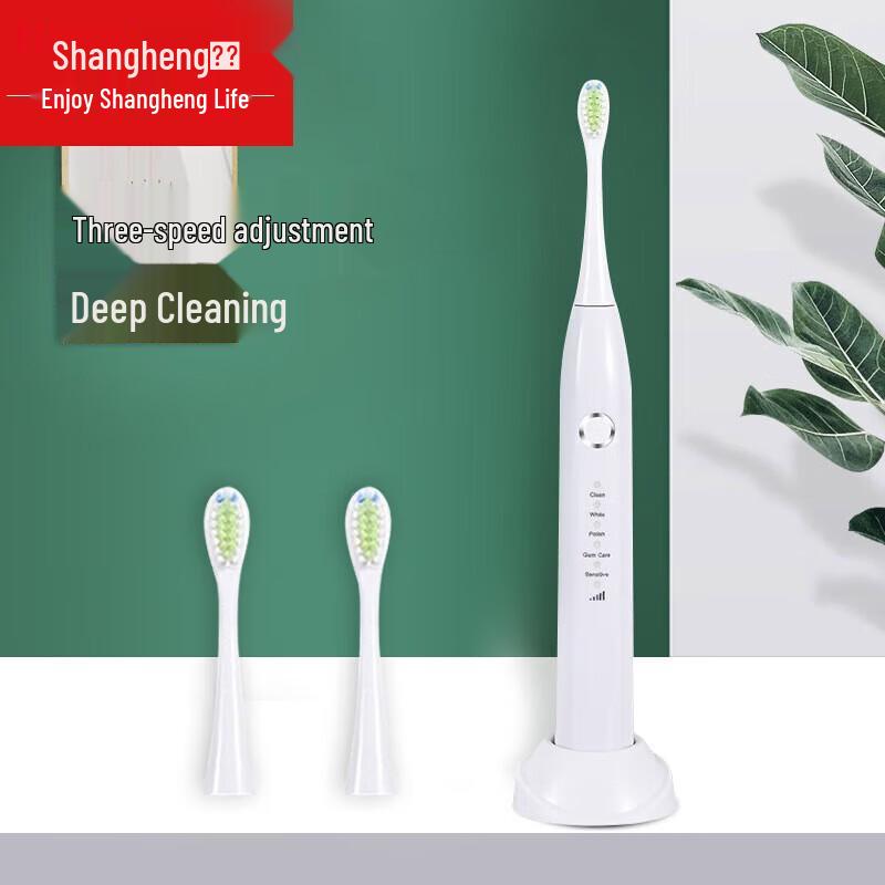 

Shangheng SHZH-039 Sonic Electric Toothbrush