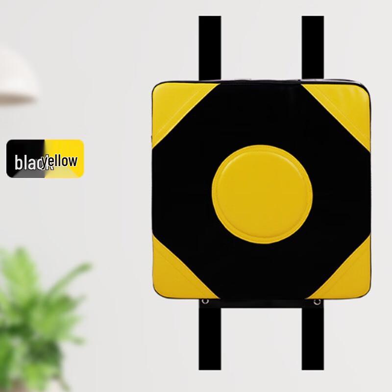 Solid Wall Boxing Target Set with PU Gloves