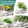 Ornament Resin Cat Succulent Flowerpot Creative Cartoon Cat Succulent Planter Multifunction Decorative Planter Living Room