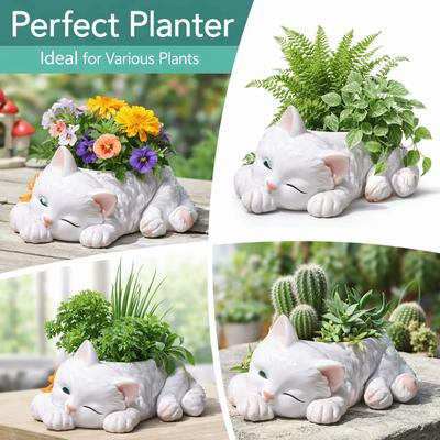 Ornament Resin Cat Succulent Flowerpot Creative Cartoon Cat Succulent Planter Multifunction Decorative Planter Living Room