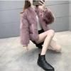 Locomotive Style Imitation Fox Fur Jacket Women's Stand-up Collar Short Light and Thin Fur Integrated