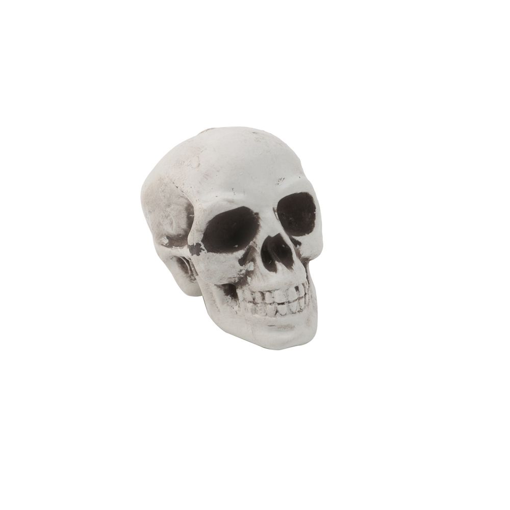 

Scary Sculpture Horror Skelet Skull Model Halloween Skull Bone Bone Skeleton Skull Head Photo Prop 6*4cm