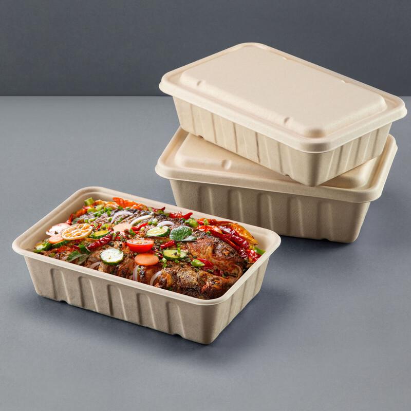 Mudisi Disposable Rectangular Takeout Salad Container