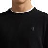 Polo Ralph Lauren Crew Neck Long Sleeve Logo Sweater Men Sweater 710974148-003
