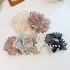 French High-End Temperament Pearl Mesh Large Intestine Hair Band Women'S Tied Hair Rope High Ponytail Ball Head Rubber Band Headrope