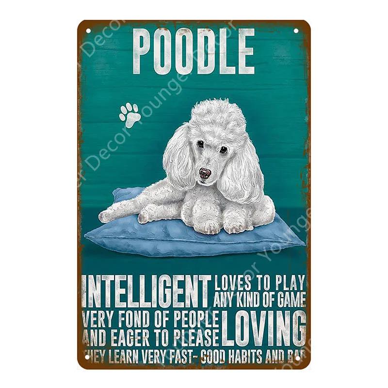 Animal Dog Cat Vintage Metal Poster Home Decor Retro Tin Sign For Pub Bar Club Decorative Plate Poodle Wall Plaque