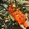 Fruit Picker Tool High Branch Harvest Device for Bayberry Loquat Plum Jujube Apricot Multifunctional Garden Picking Tool