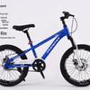 Phoenix Children's Disc Brake Mountain Bike