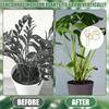 Reusable Metal Climbing Plant Stems Support Stake, Unique Design Plant Stake, Garden Decor, Flower Pot Decor, Plant Trellis, Ideal for Healthy Growth