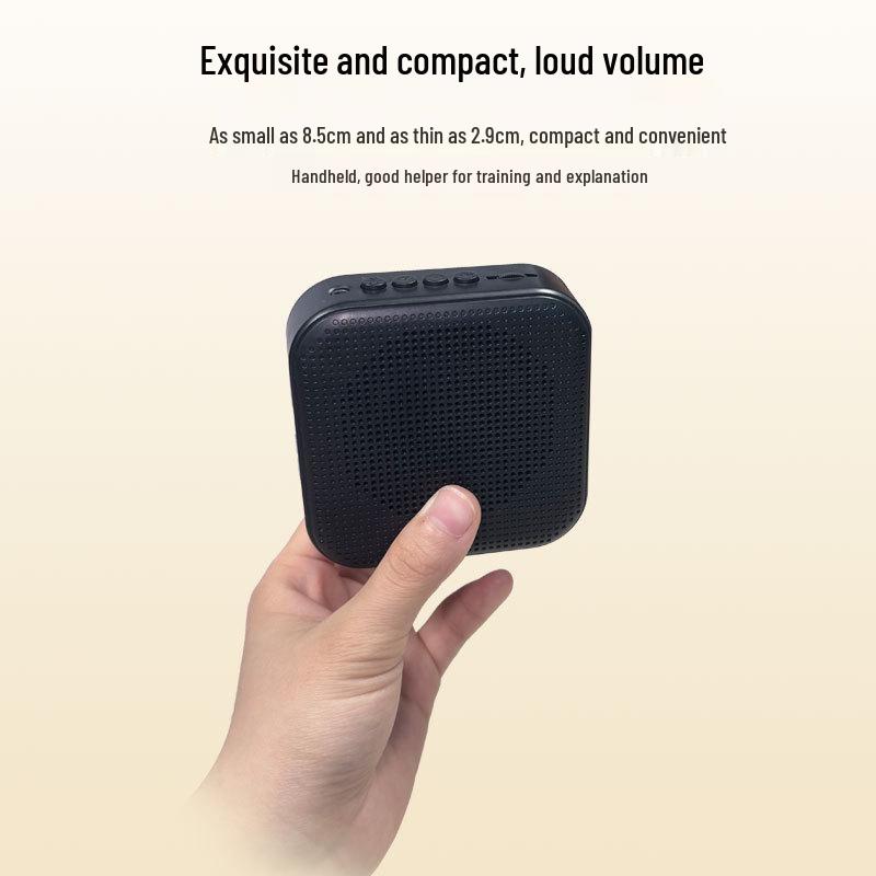 Portable Amplifier Speaker for Street Vendor & Classroom