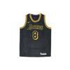 Nike Kids Los Angeles Lakers Kobe Bryant Black Mamba Swingman Jersey DM1576-010