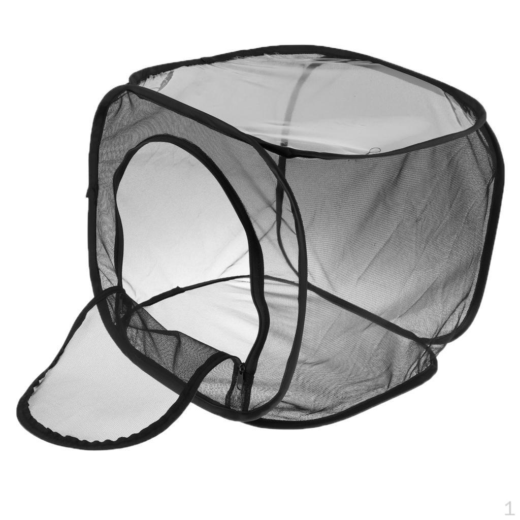 & Butterfly Portable Habitat Terrarium Collapsible Butterflies Mesh Cage S