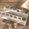 Aromatherapies Cup Holder Silicones Mold Reusable Design Succulents Planter Tray Mould For Crafting Projects