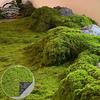 Artificial Moss Landscape Bionic Lawn False Moss Micro Landscape Layout Lawn Bonsai Pottery Paving Landscape Outdoor Indoor