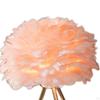 Modern USB Table Lamp, LED Night Lampshade Desk Lighting Metal Crafts Decorative Bedside Lamp for