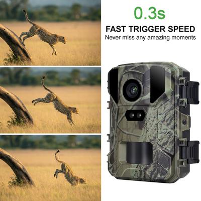 Mini Trail Camera 24MP/1080P IR Night Vision Waterproof Hunting Camera for Wildlife Scouting Hunting