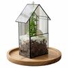 Geometric Glass Terrarium: Modern Succulent Planter & Home Decor for Coffee Shop Ornaments