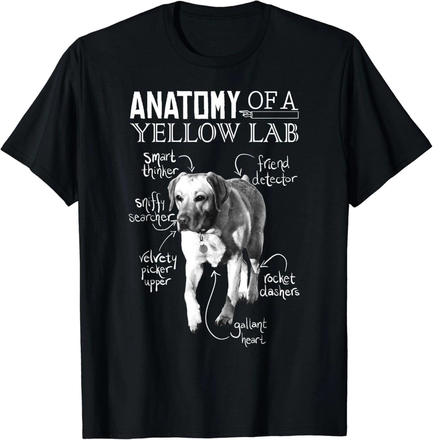 Anatomy of a Yellow Lab Chalkboard, Labrador Retriever Lover Dog Gift T-Shirt S