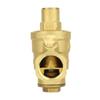 DN20 Adjustable Brass Water Pressure Regulator Regulating Valve