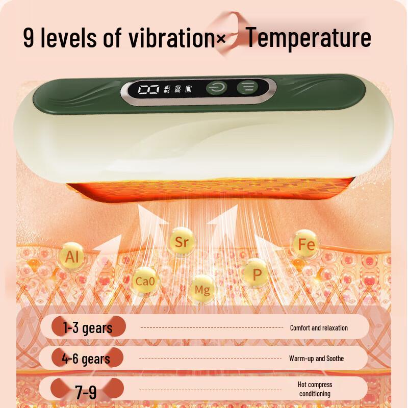 HEZHENG Electric Bianstone Gua Sha Massager