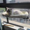 Window Mounted Cat Perch Cute Soft Cat Bed Window Shelf Hammock Window