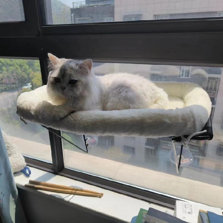 Window Mounted Cat Perch Cute Soft Cat Bed Window Shelf Hammock Window