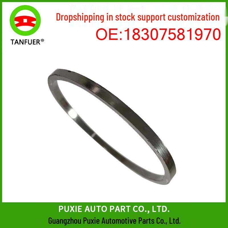 BMW F20/F21/E82 Exhaust Pipe O-Ring Gasket Seal (Part 18307581970)