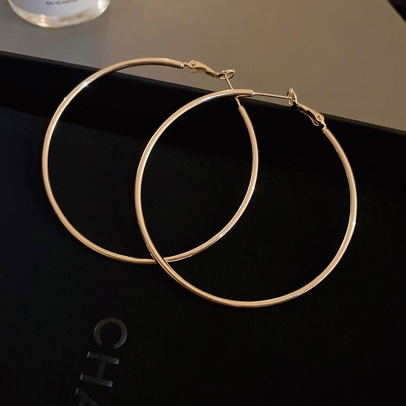 Stylish Silver Needle Round Hoop Earrings: Simple, Fashionable, Versatile, with a Light Luxury Feel