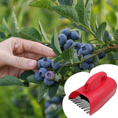 Ferramentas de jardinagem – Apanhadores de frutas