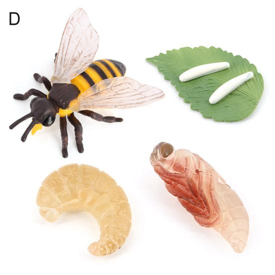 

4Pcs/5Pcs Frog Tarantula Butterfly Bee Animal Growth Observation Model Toys D