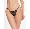 Bluebella Marseille Thongs