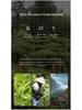 Wuyishan Jin Junmei Premium Tea Gift Box with Logo (Half Pound)