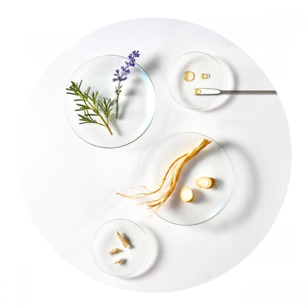 Rene Furterer Triphasic Scalp Concentrated Nutrient Ampoule Shampoo 500ml