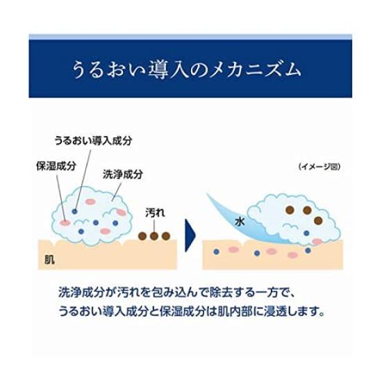 Senka Perfect Whip nx set da 6 pezzi