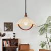 French Retro Height-Adjustable Restaurant Pendant Light