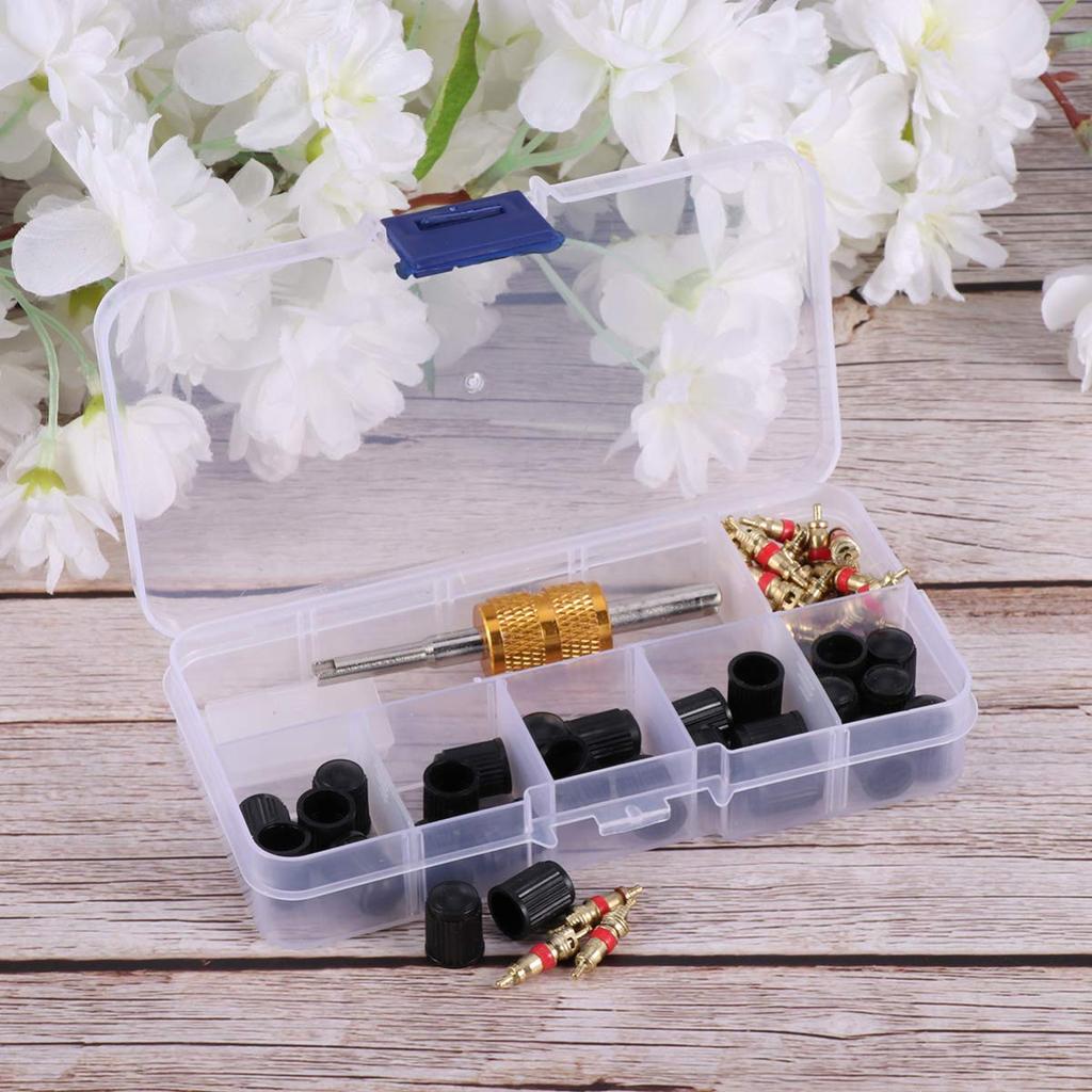 VORCOOL Tire Valve Core, Air Valve, Insect Turner, Tire Repair Tool, 61-Piece Set, Valve, Motorcycle, Bicycle, Tire Tool, Repair