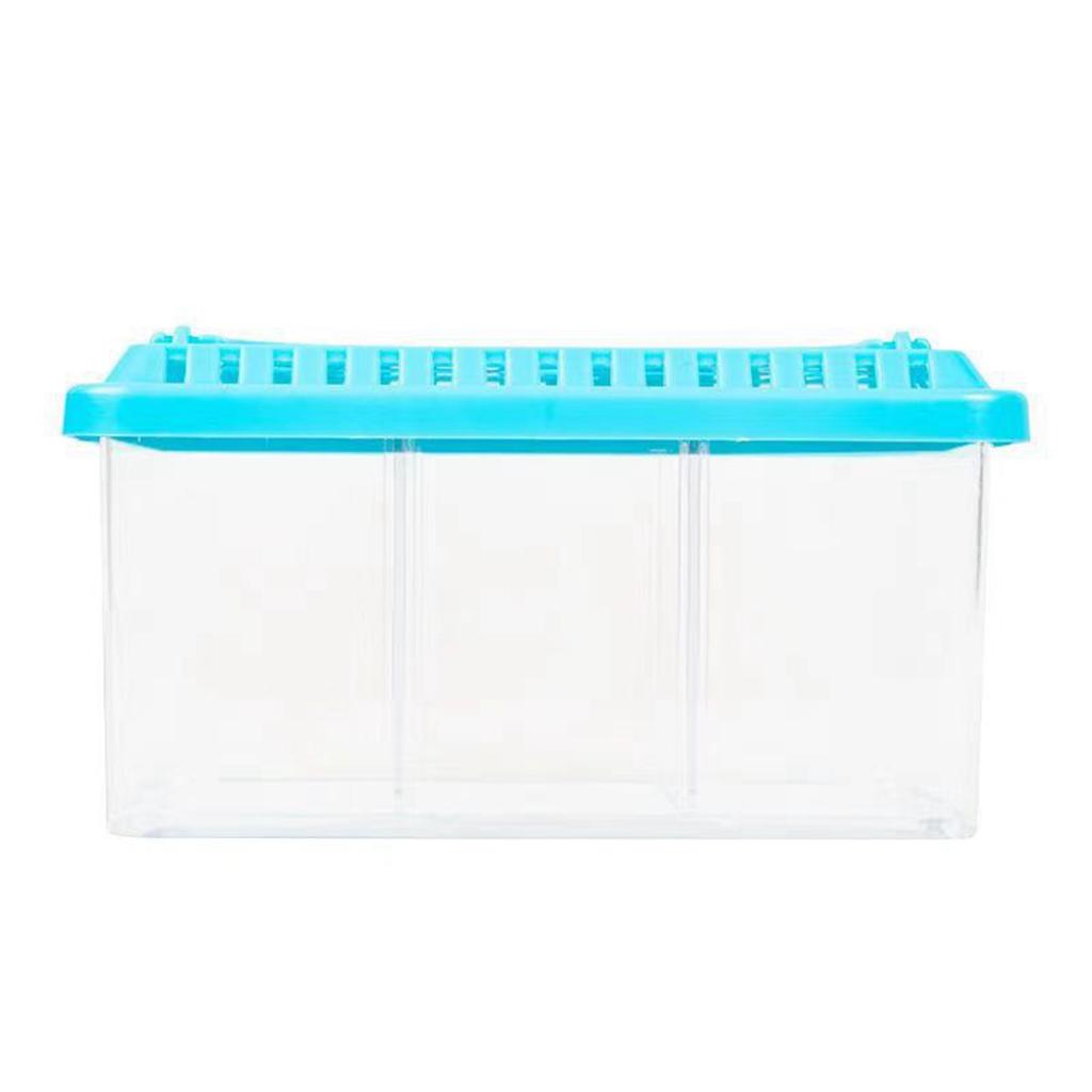 Acrylic Fish Tank Detachable 3 Areas Small Aquarium Desktop Ornamental Transparent Fish Tank for Hom