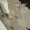 Nordic Style Dustproof Entrance Mat: Double-Layer Woven Polypropylene, Wear-Resistant, Sand-Scraper Hallway Floor Mat.